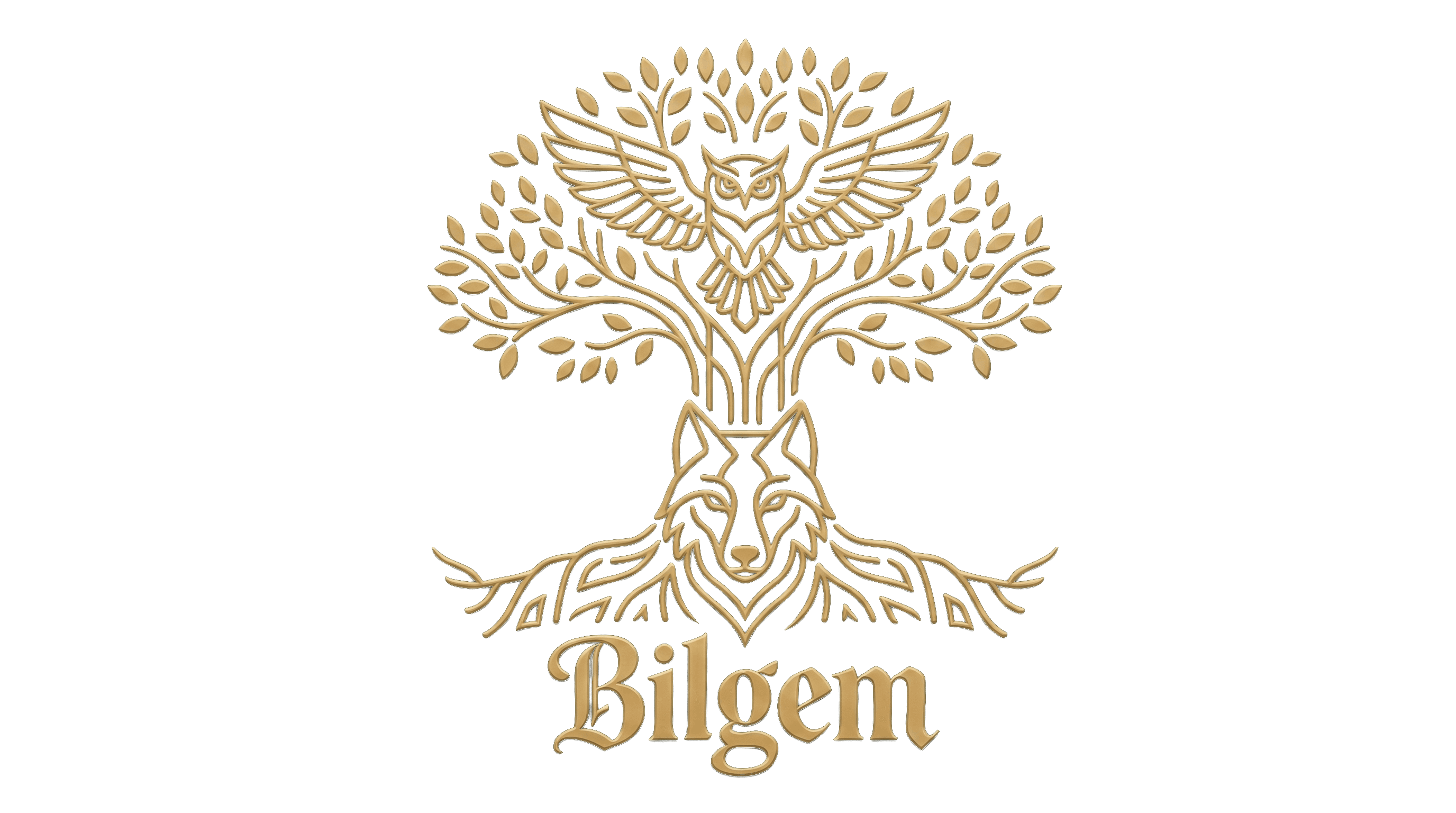 Bilgem