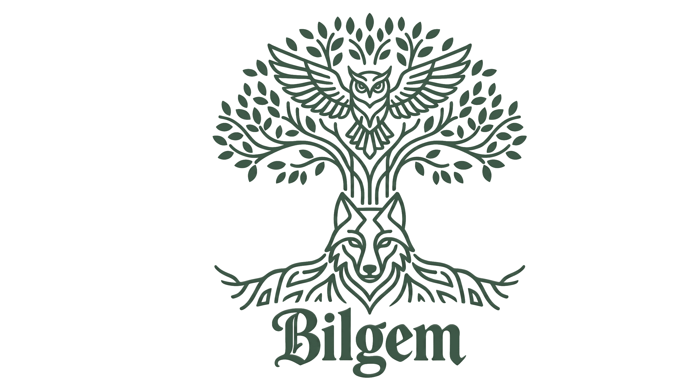 Bilgem