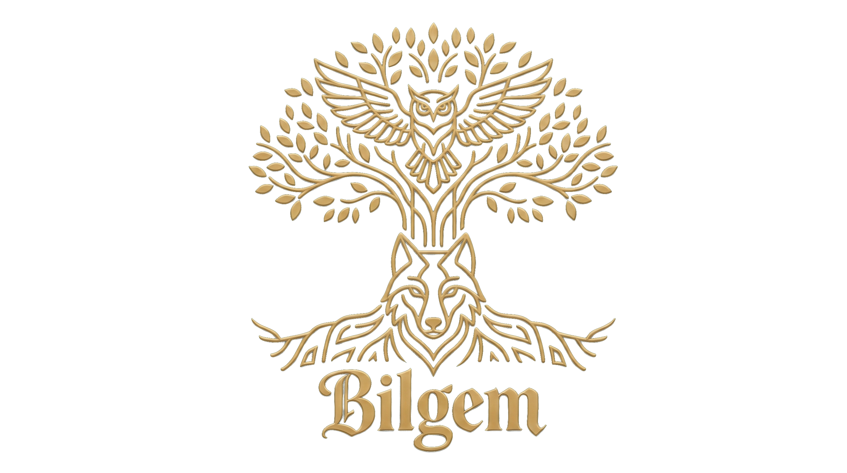 Bilgem